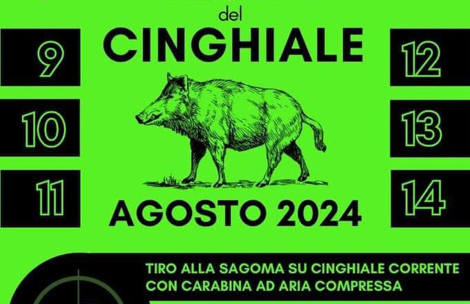 montecchio-festa-del-cinghiale