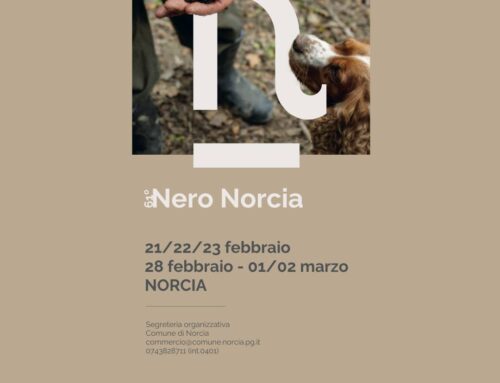 Nero Norcia